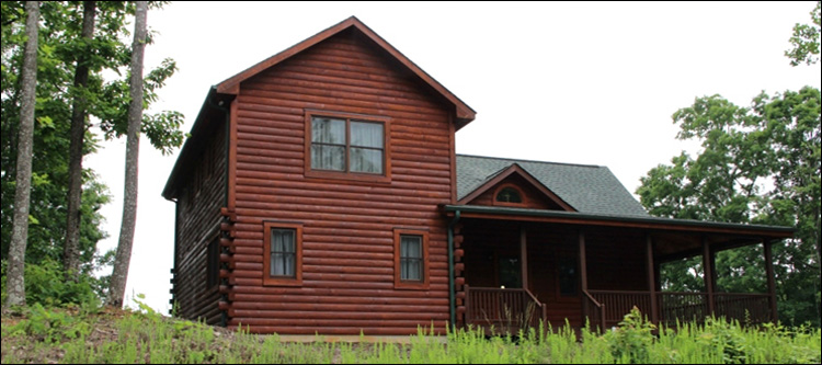 Professional Log Home Borate Application  Newport News City, Virginia